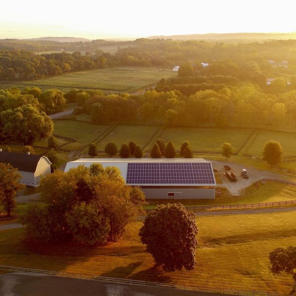 solar-farm-4443338